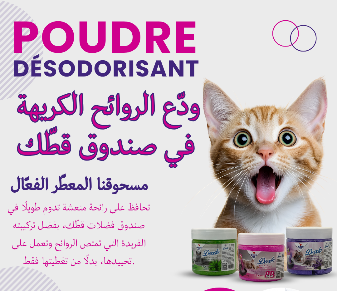 LandingPage