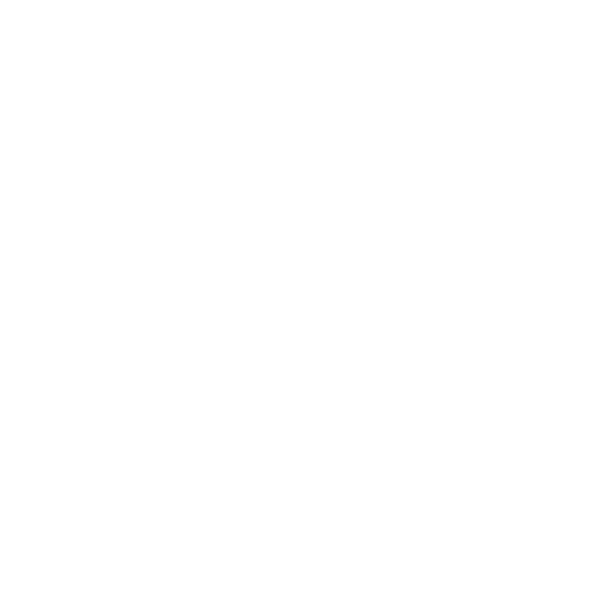 Palais de la Literie